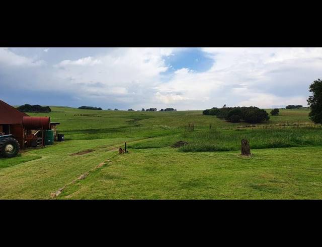 FARM FOR SALE IN CAROLINA